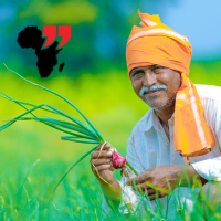 Indian Investors Buy Farmlands in Africa