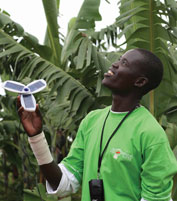 Mobile phones in Africa