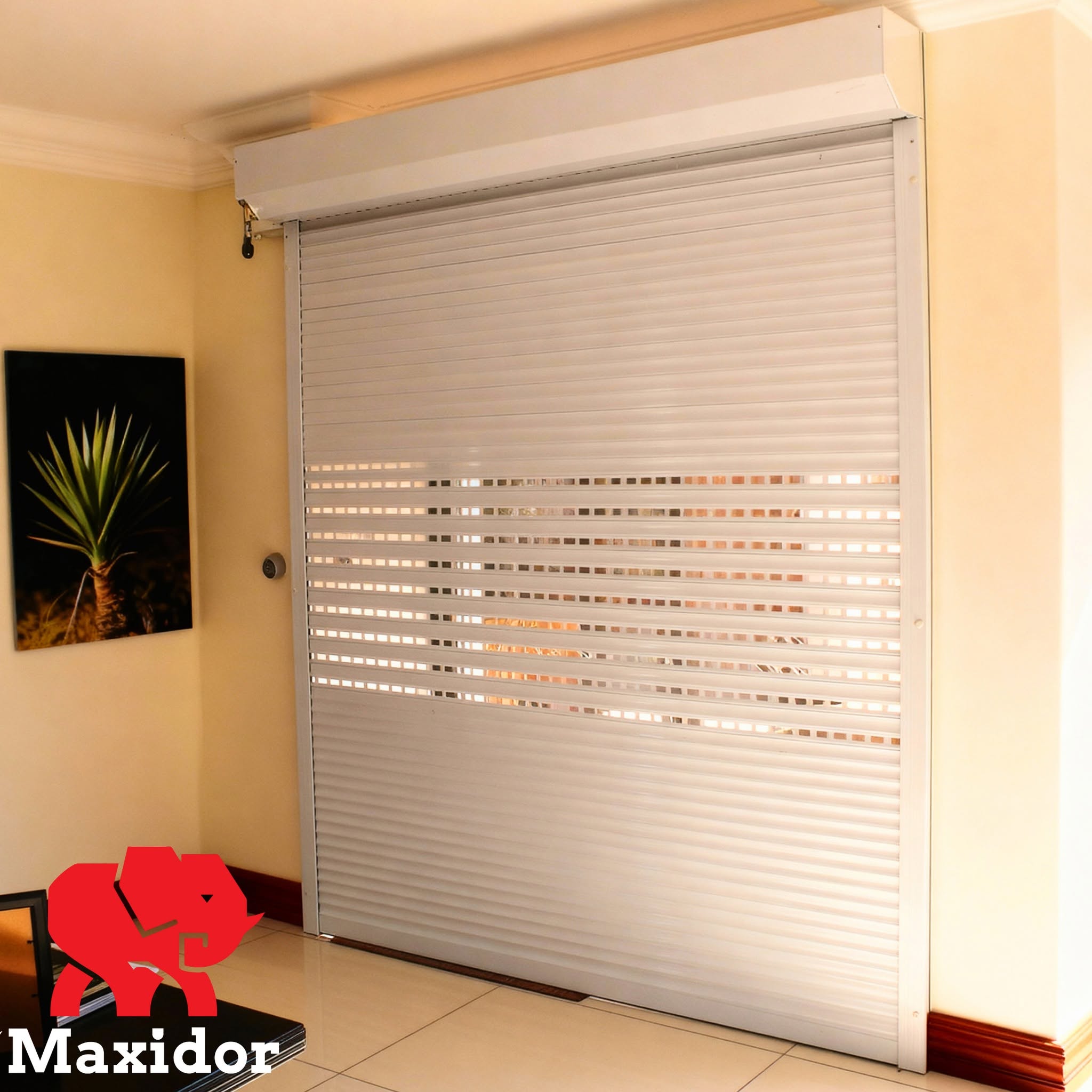 Maxidor