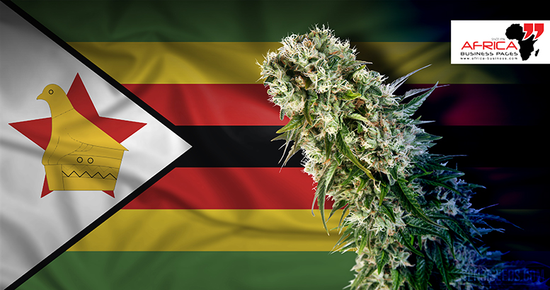 Zimbabwe Legalises Cannabis Farming to Boost Economy