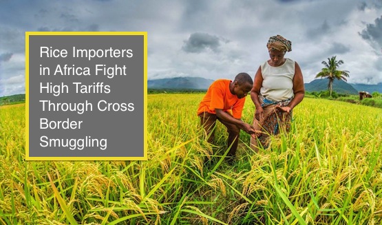Rice importers in Africa