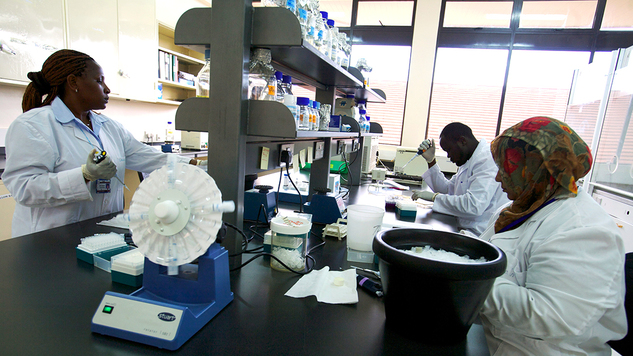 African pharmacetical market