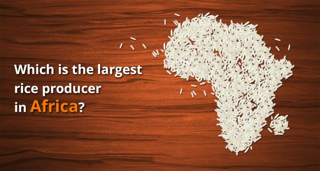 Rice importers in Africa