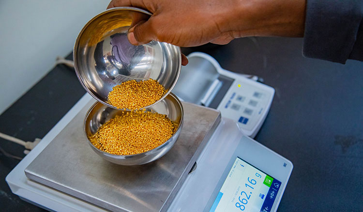 Africa's Booming Gold Trade